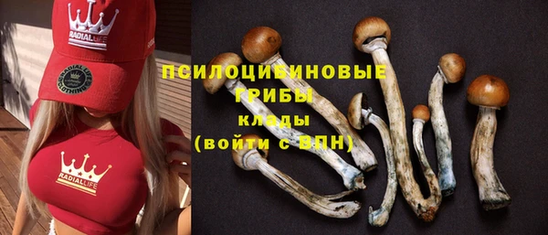 марки nbome Верхний Тагил