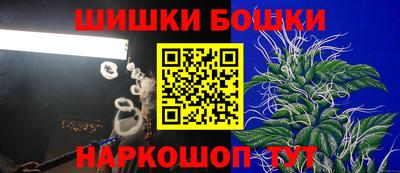 ПСИЛОЦИБИНОВЫЕ ГРИБЫ Аргун