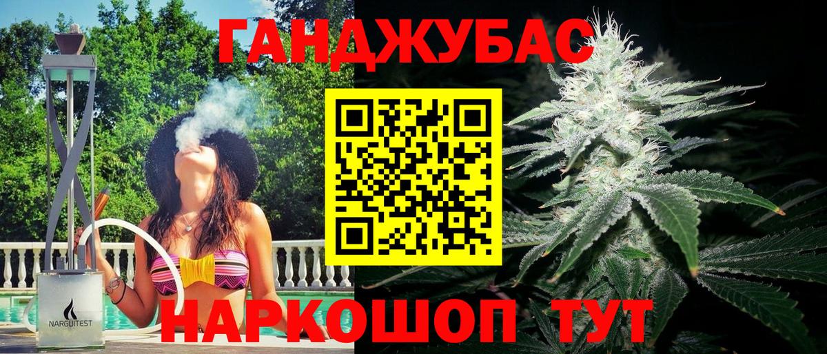 Шишки марихуана сатива  Вход с VPN  Георгиевск  МАРИХУАНА SATIVA & INDICA  Шишки марихуана семена  Канабис индика 